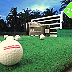 Palm Driving Range & Resort
